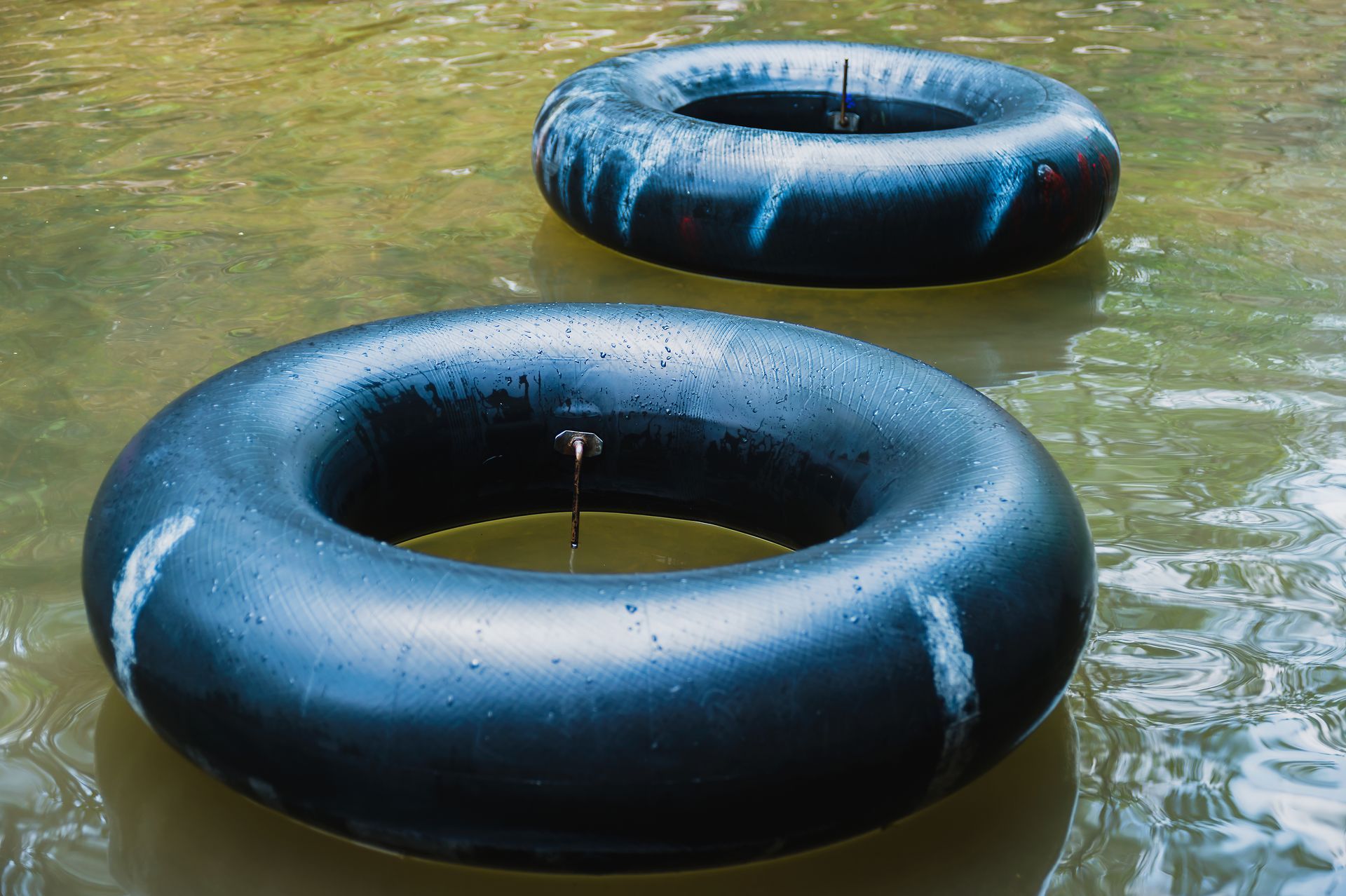 Two black inner tubes floating in murky water.