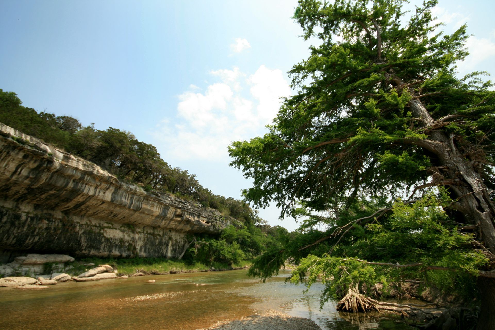 River flowing beside a limestone cliff under a blue sky, large tree in foreground.