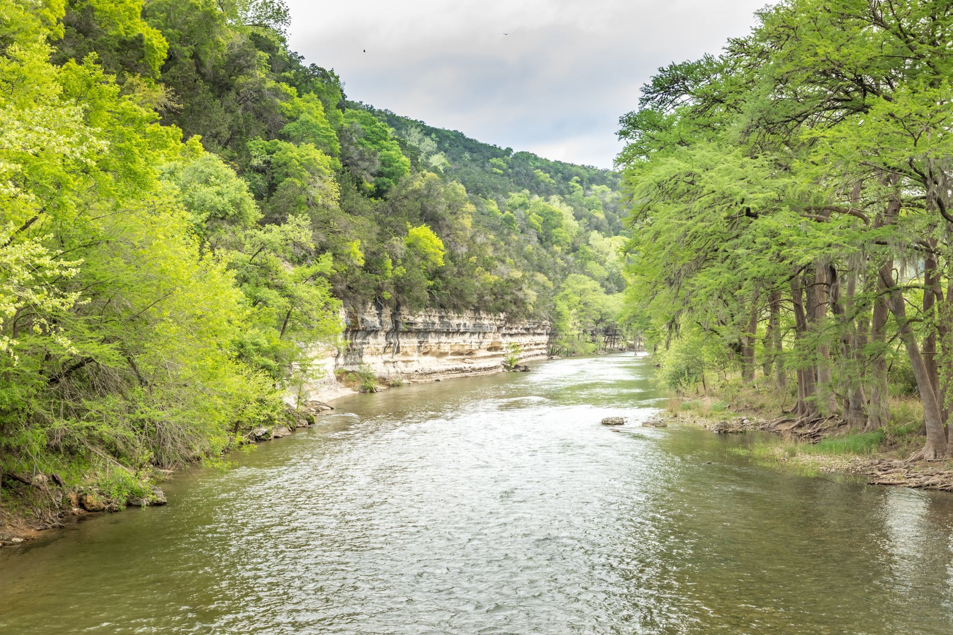 River flowing through a lush green forest, under a cloudy sky.