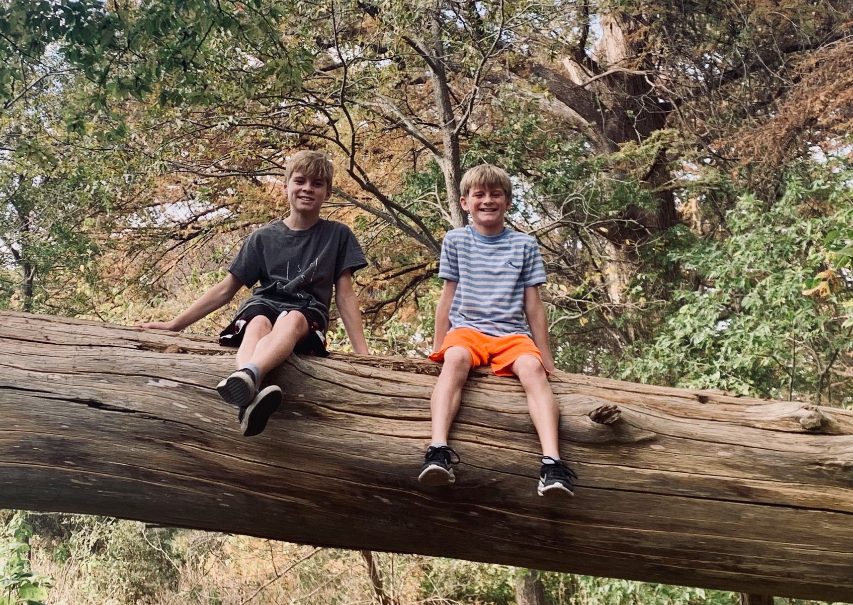 Tipi retreats vs. cabins