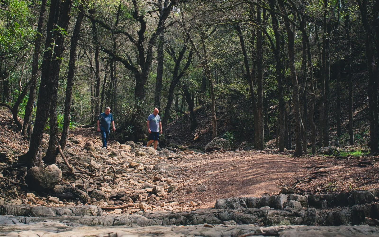 Two people walking on a rocky path in a sunlit forest.