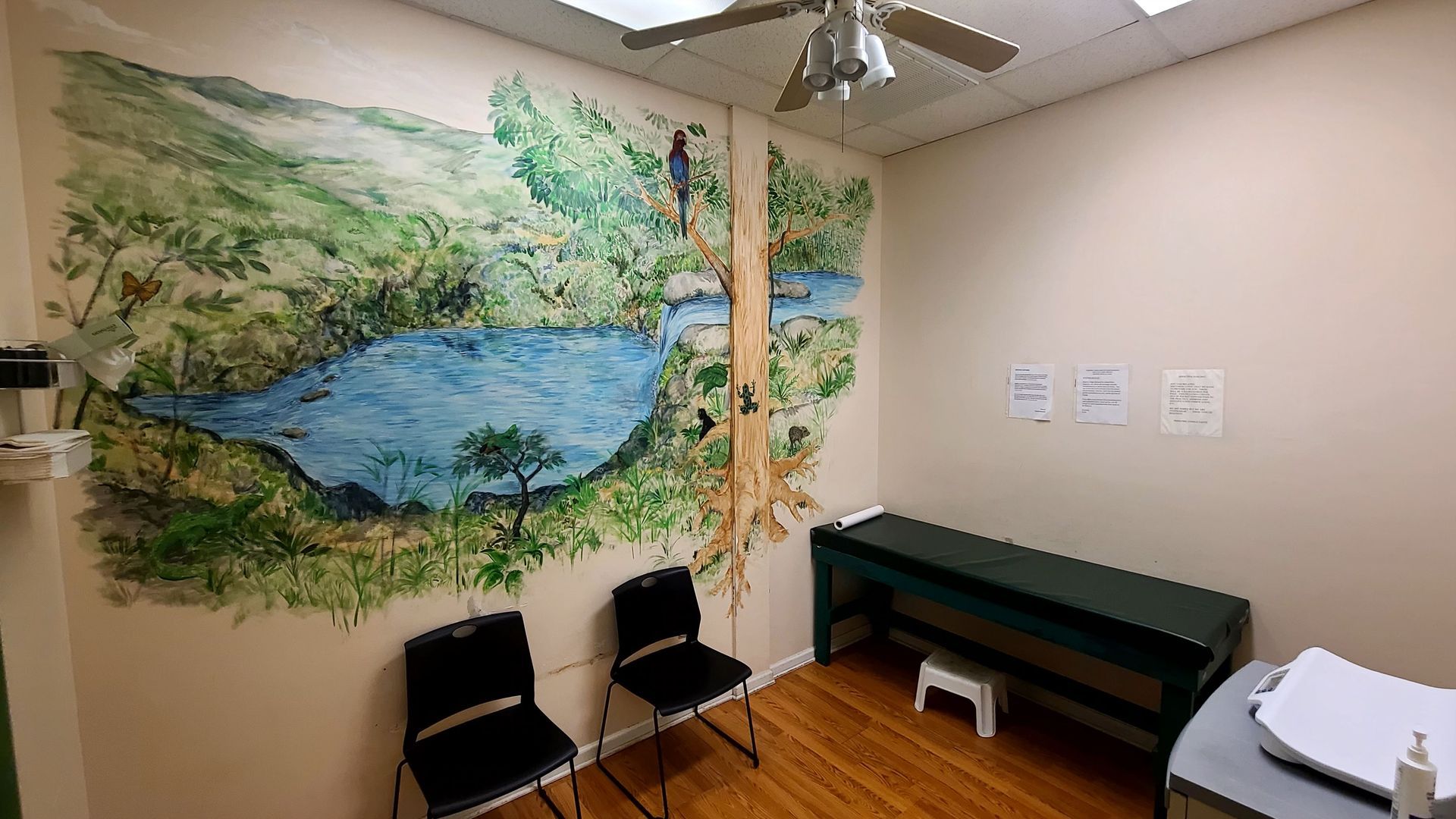Exam room with mural of a landscape; chairs, examination table, and footstool.