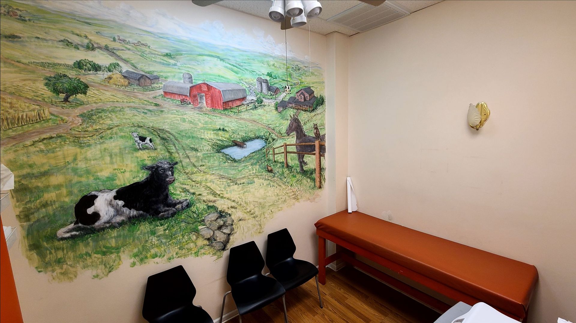 Waiting room with farm mural, black chairs, and exam table.