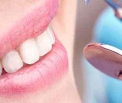 Dr. Javier Venegas Rodríguez