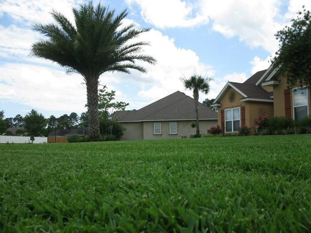 Fertilization Insecticide Services Brunswick Ga Another Landscape Company Inc