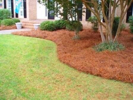 Flower Bed Curb — Mulch in Trees with Green Grass in Brunswick, GA