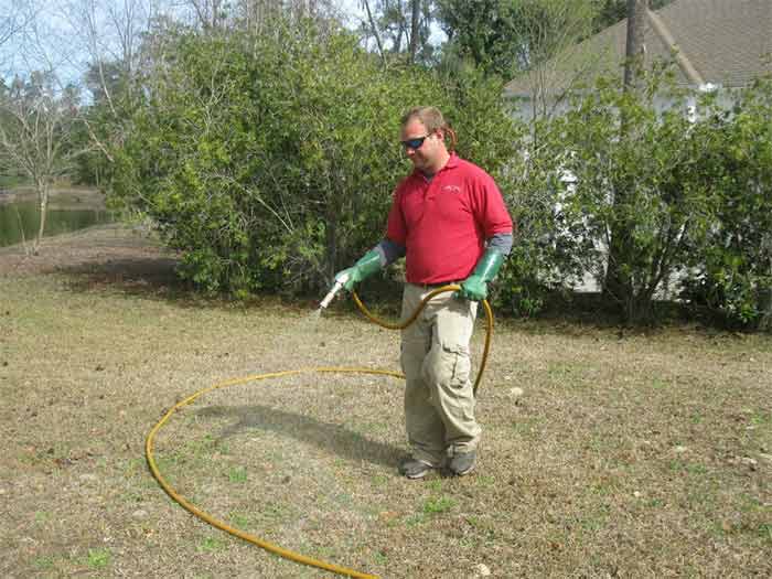 Weed — Spraying Herbicide in Brunswick, GA