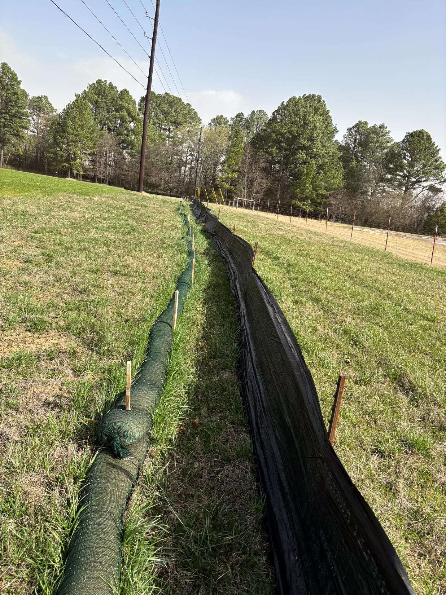 There is a bridge in the background and a fence in the foreground.