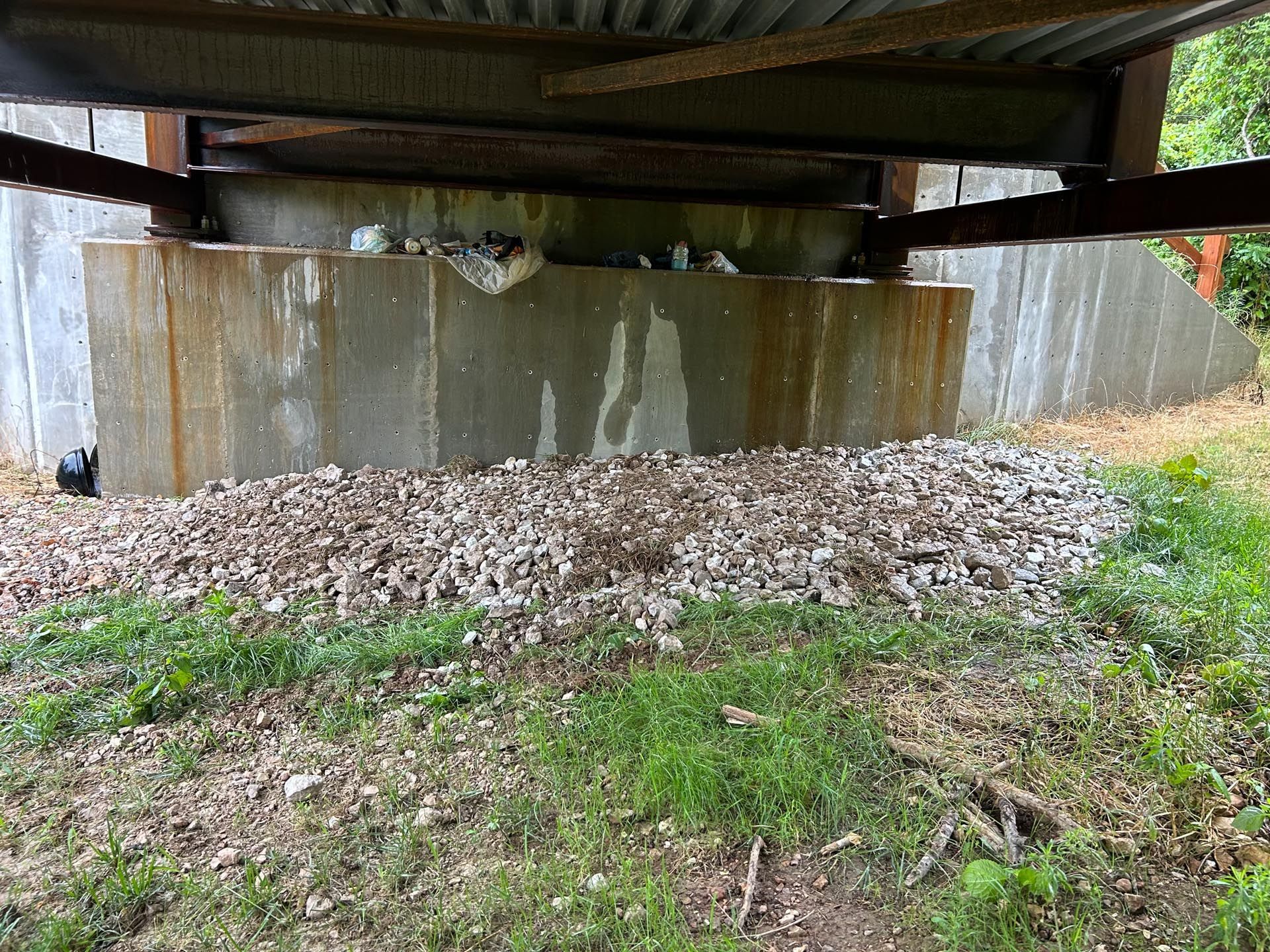A cat is sitting under a bridge in the grass.