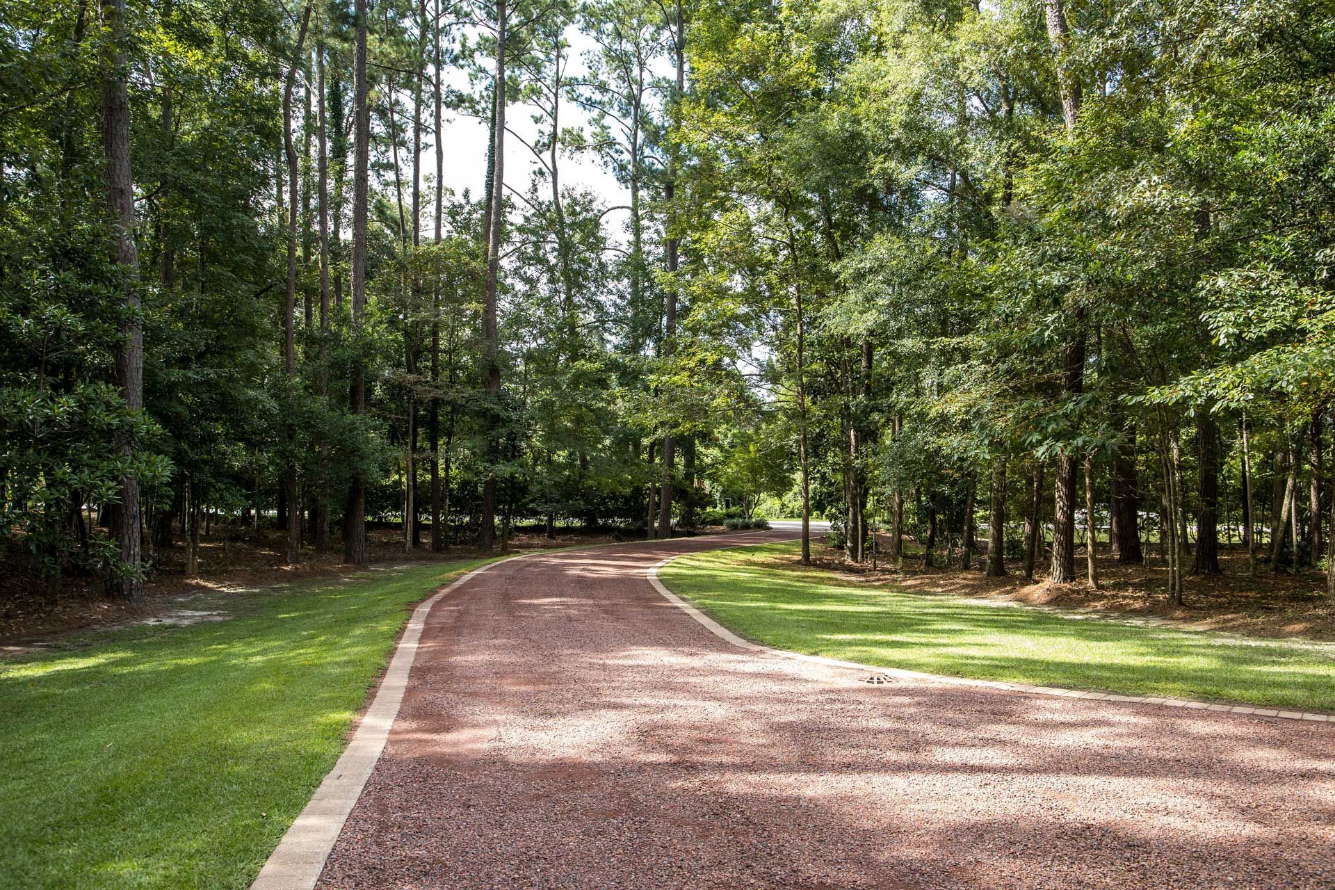A dirt road going through a lush green forest.