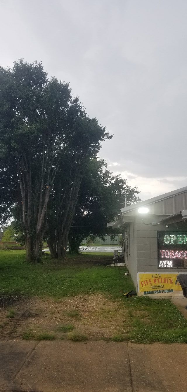 A cloudy outdoor scene with a building on the right and trees on the left. Green grass covers the foreground.