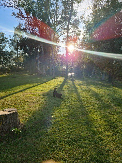 Ristorante Malvaldo Govonella