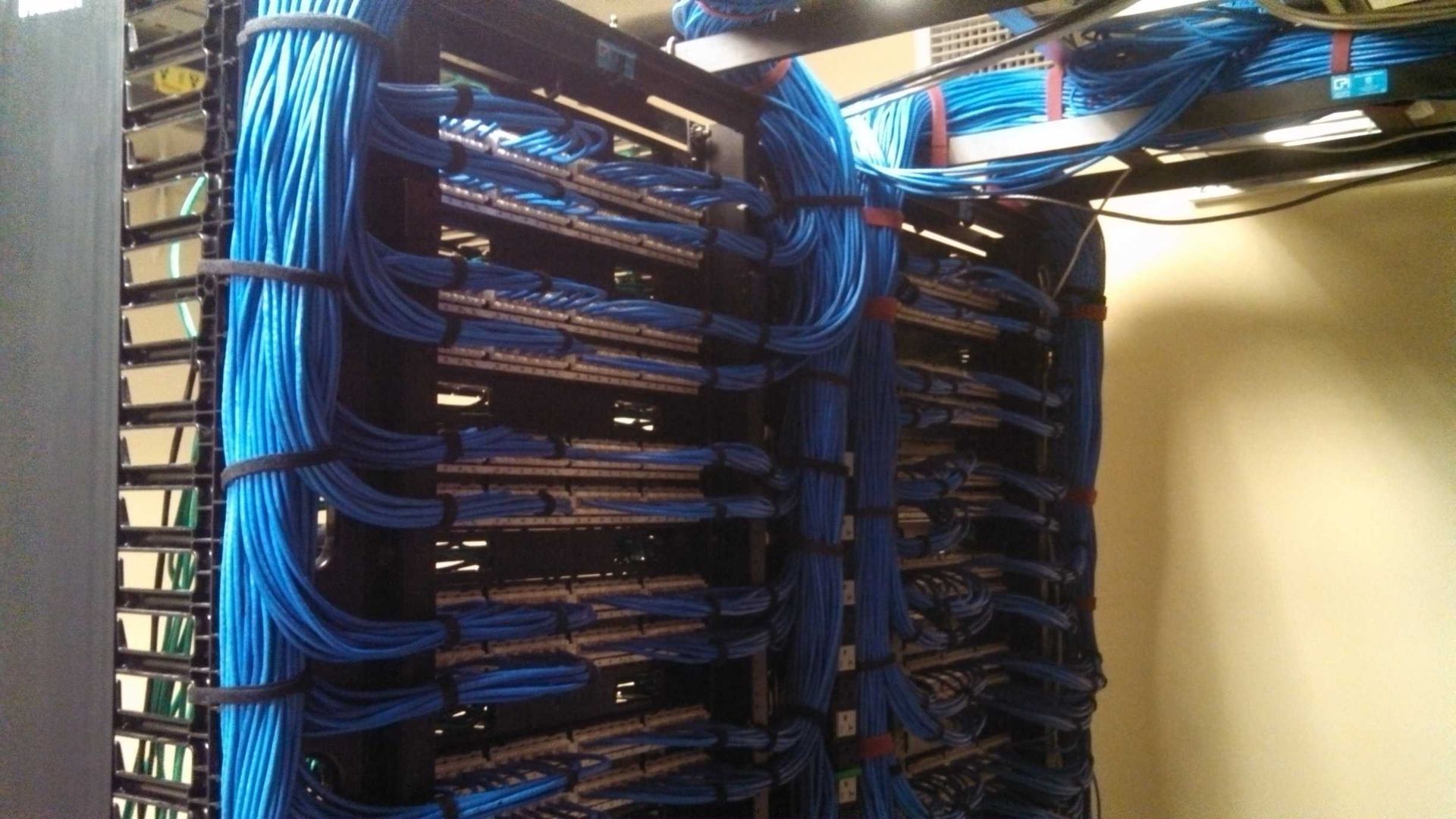 A bunch of blue wires are hanging from a rack