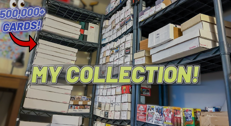 Shelves filled with card boxes, labeled 