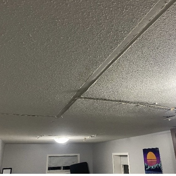 celing repair