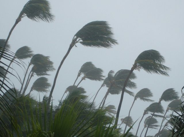 4 Damages A Category 1 Hurricane Can Cause