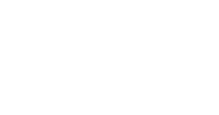 logo-image