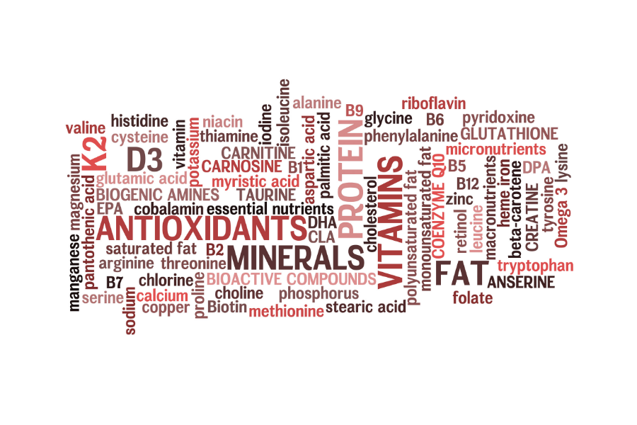 A word cloud with the word antioxidants in the middle