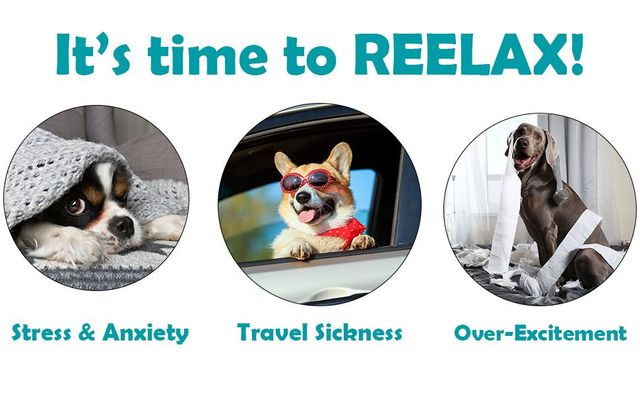 Reelax Relax Small Breed Dog Chew Supplement