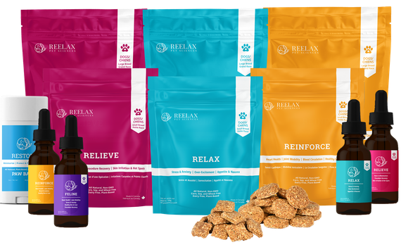 Reelax Pet Supplement chews and oils for small and large breed canines and felines, anti-lick and easy apply Paw Balm
