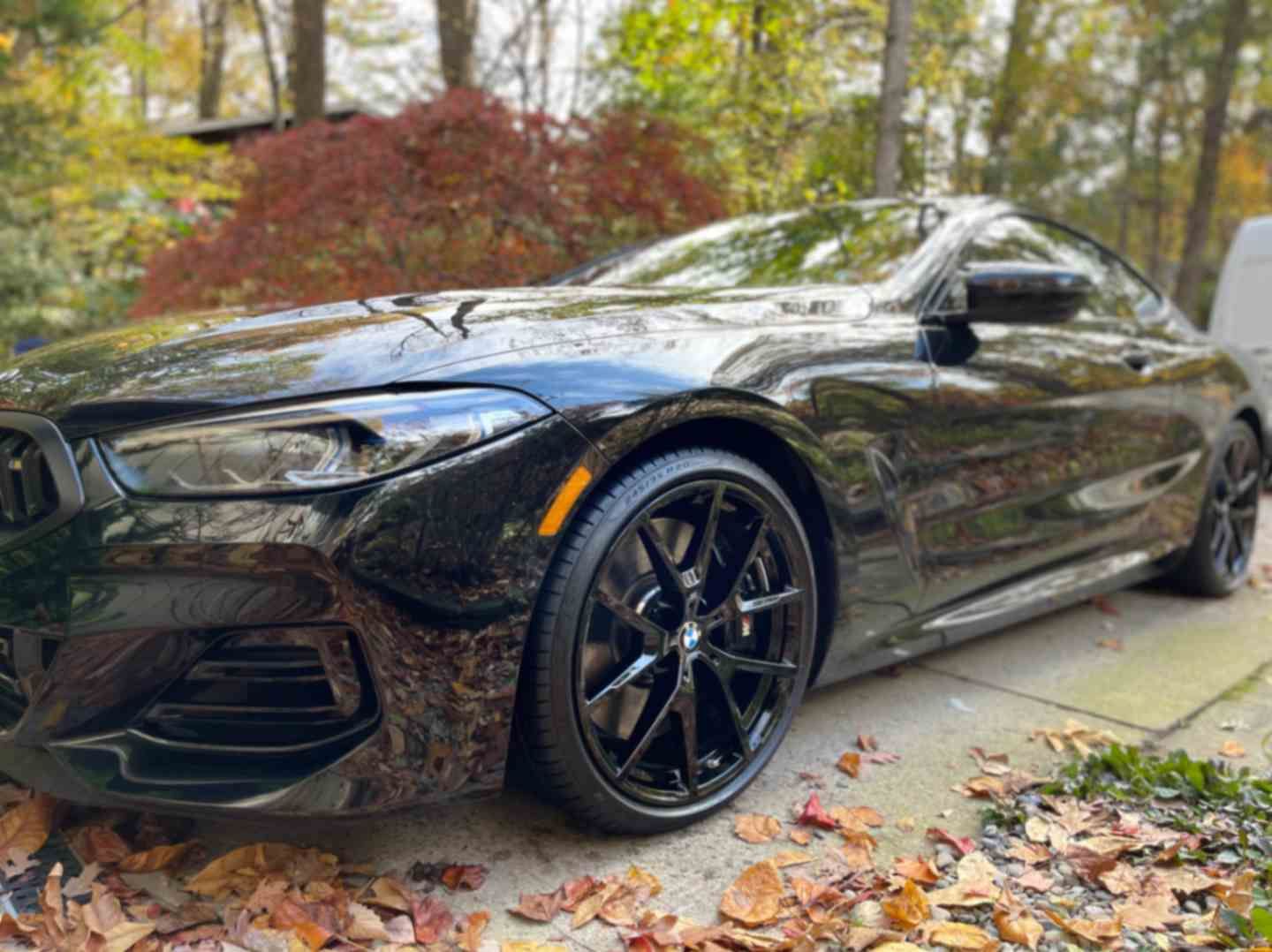 BMW M850i Gran Coupe in dark finish, mirror-like gloss, and sharp body lines after paint-safe wash.