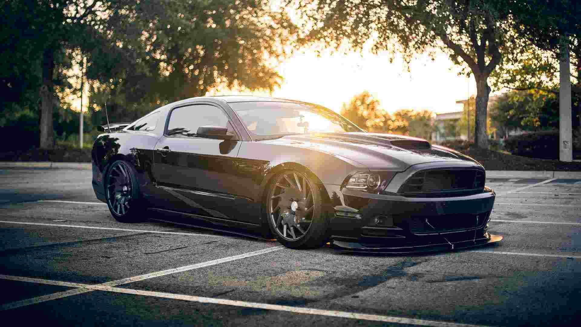 Black Mustang parked at sunset following mid-level paint correction.