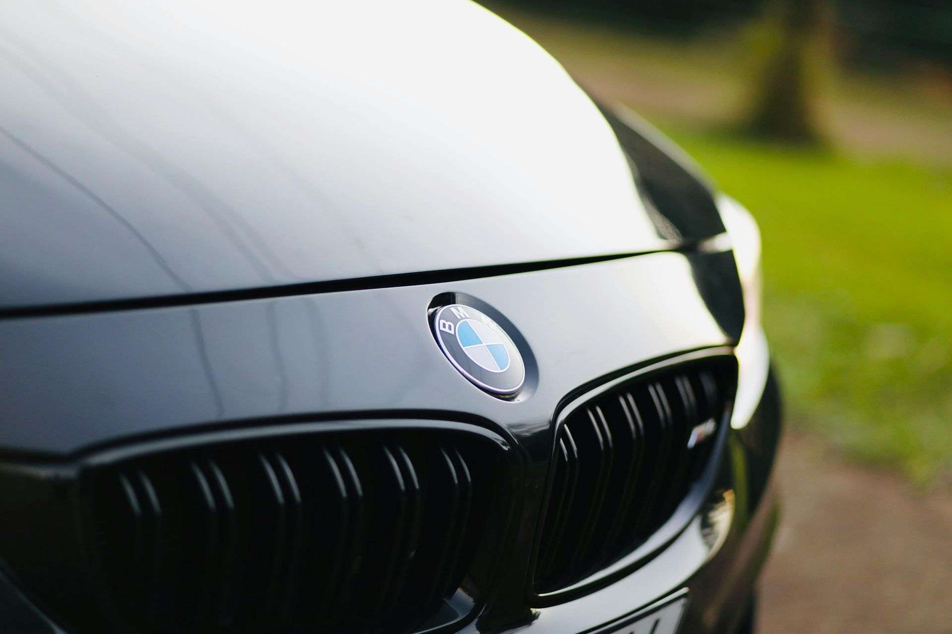 Close-up of BMW front grille and hood before precision exterior detailing.