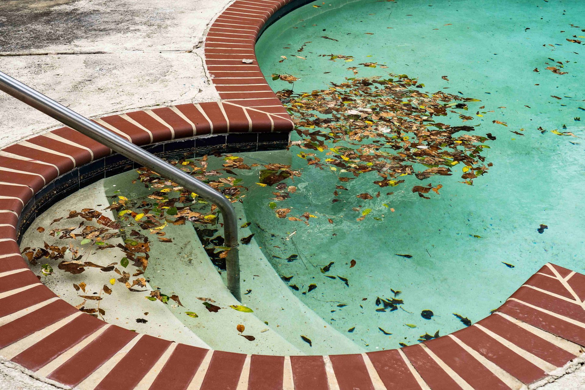 A picture of a bunch of leaves in a pool