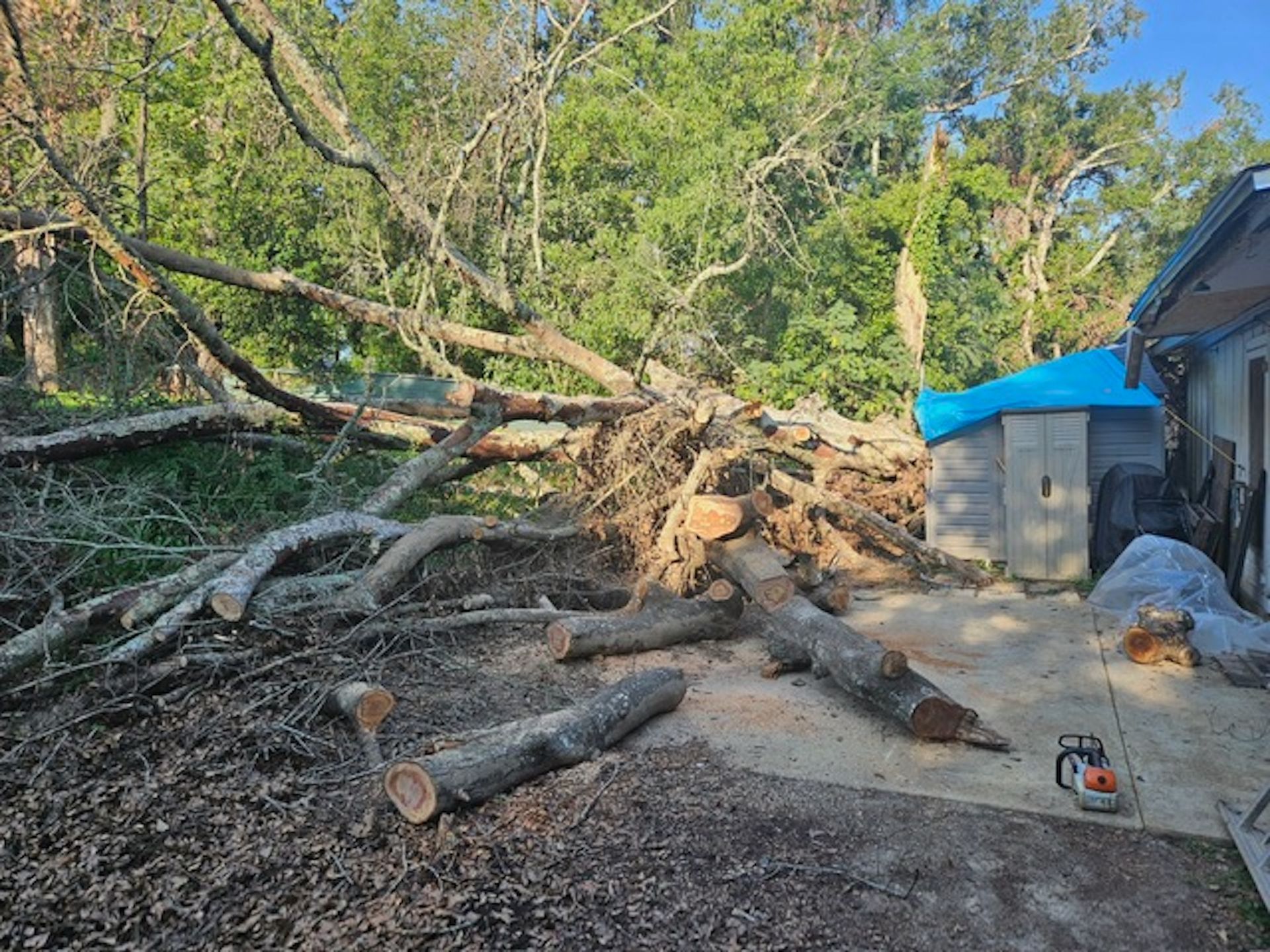 A pile of logs is sitting on the ground in front of a house.
