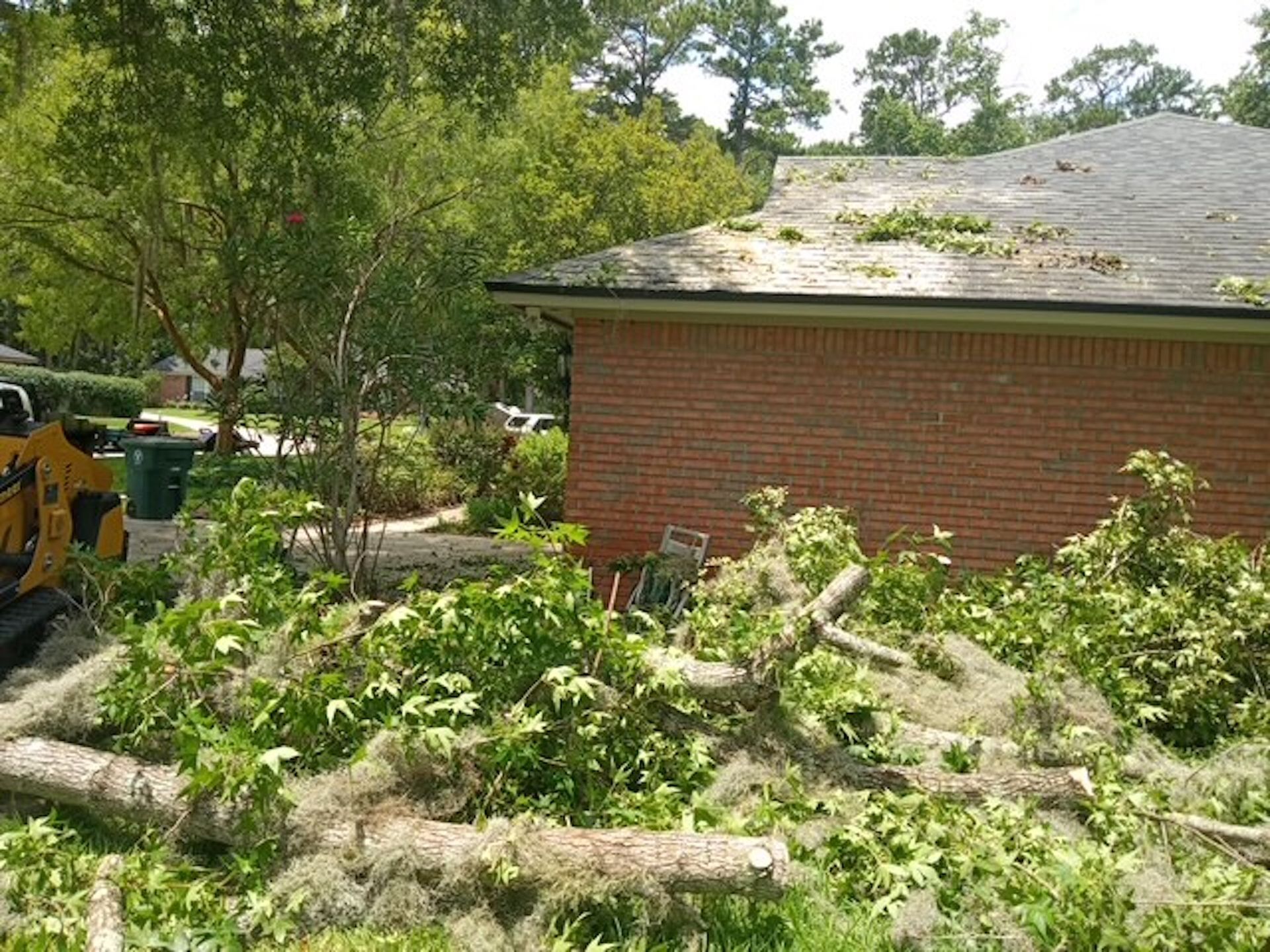 A brick house with a lot of fallen trees in front of it