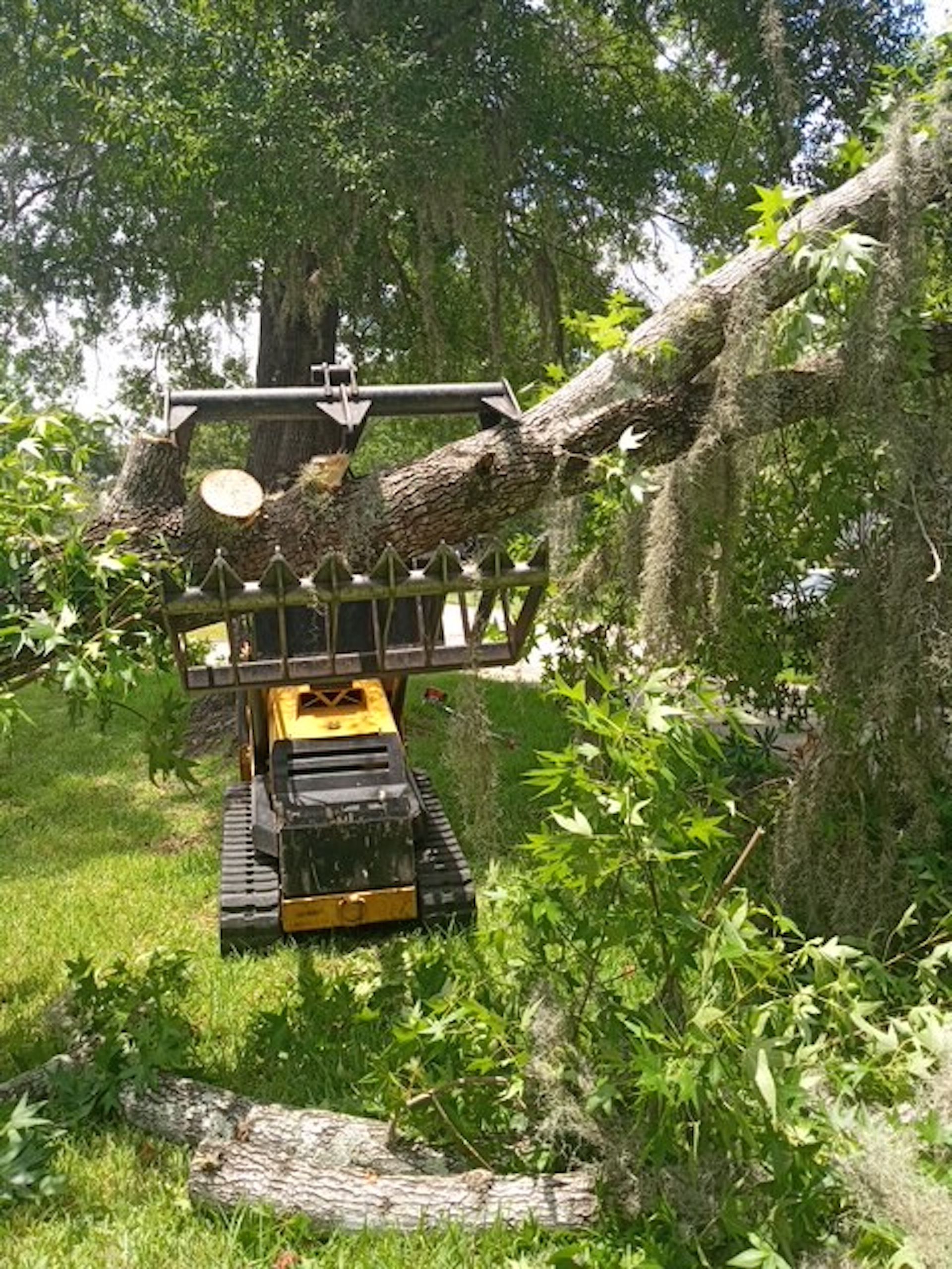 A toy bulldozer is cutting down a tree in a yard.