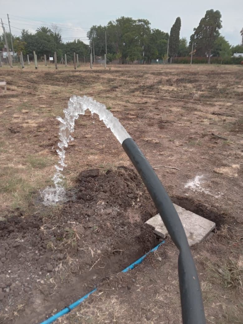 Una manguera está rociando agua en un campo.
