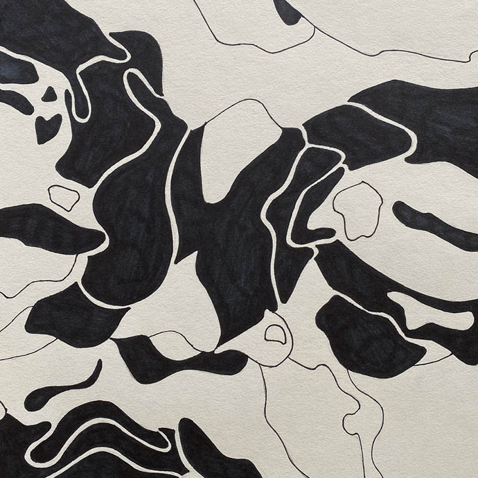 Annebeth Nies tekening kunst