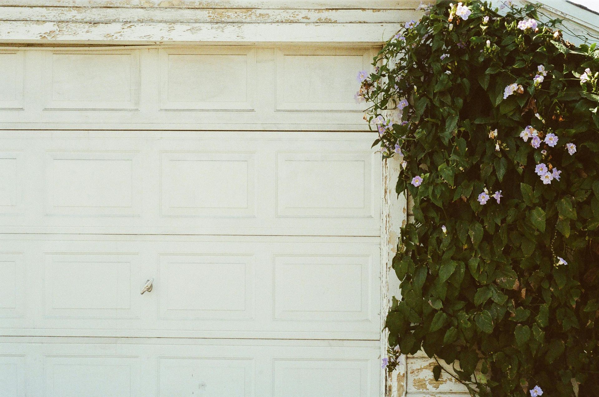 A white garage door with flowers growing on it.