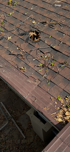 A close-up view of a roof covered in leaves and debris. Brown roof tiles and gutter.