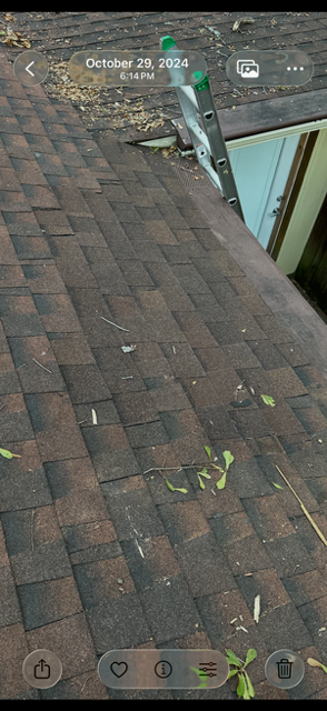 A brown shingled roof with a ladder propped up against it.