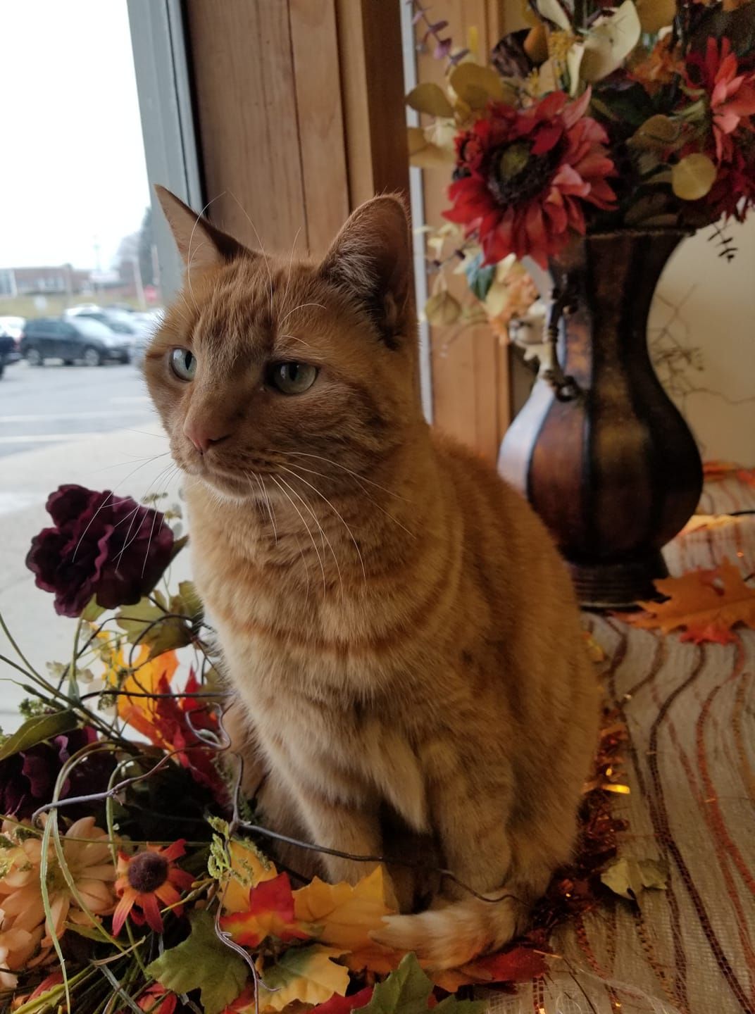 A cat is sitting on a table next to a vase of flowers.