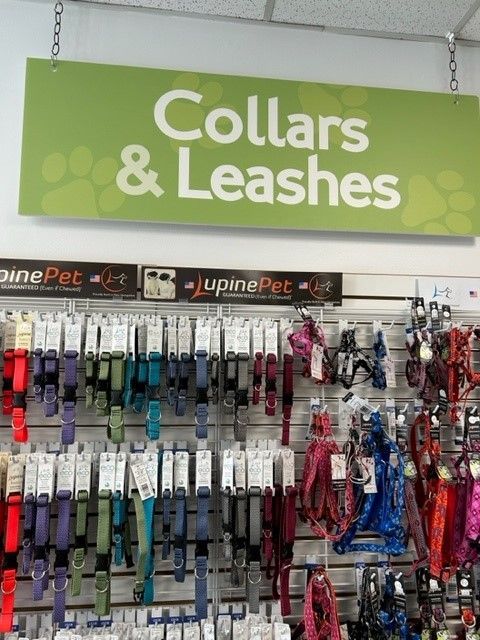 A display of collars and leashes in a store