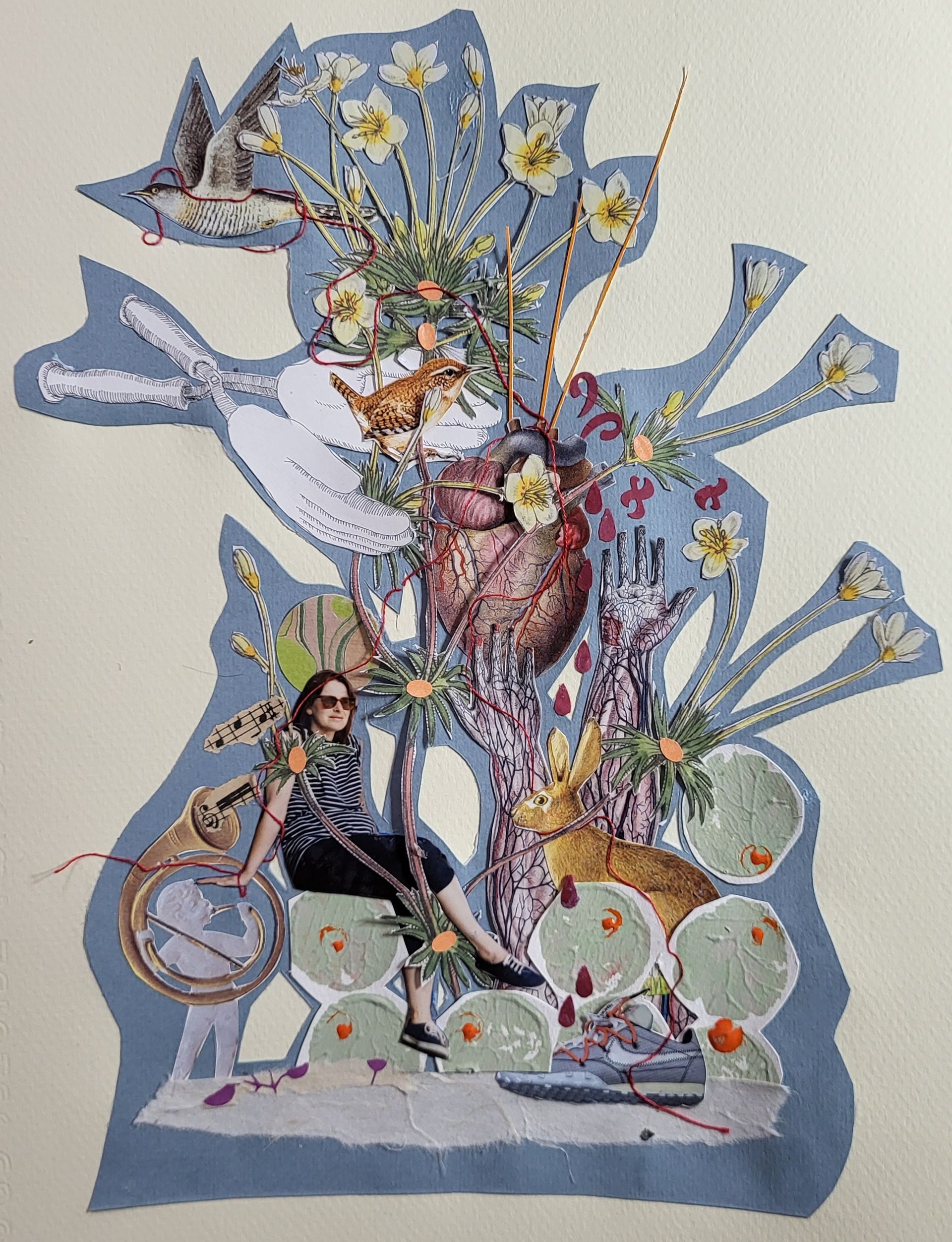 The let-go off my garden