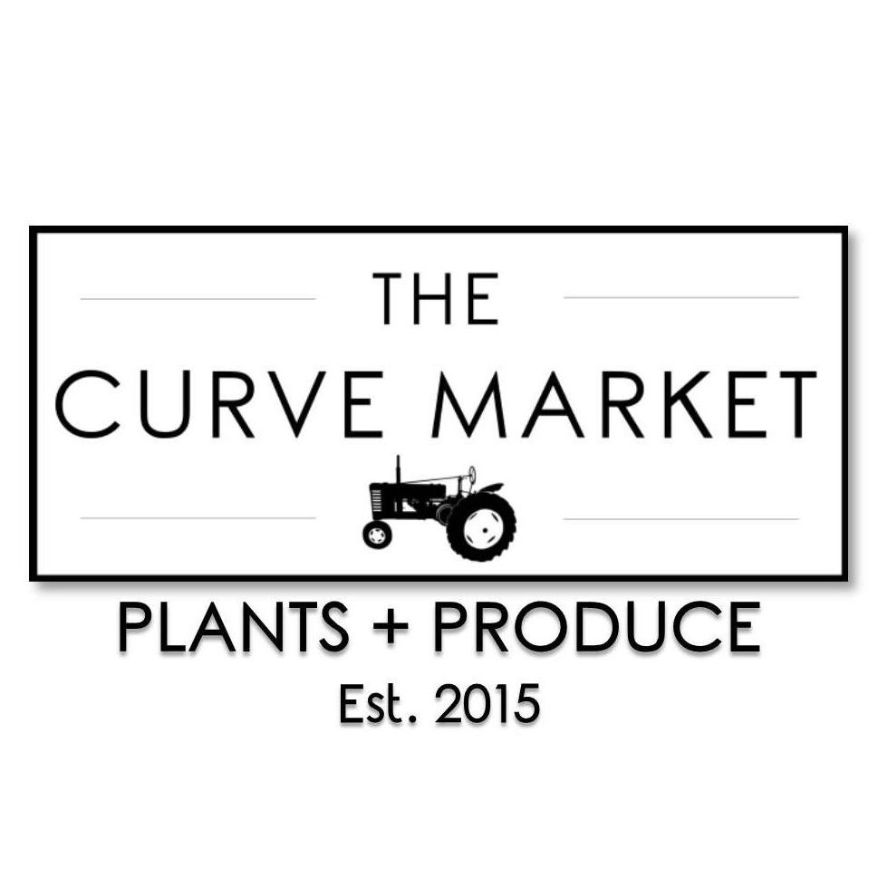The Curve Market