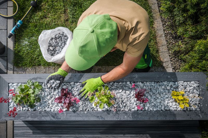 Person in green cap and gloves arranging grey pebbles around flowers in a planter.