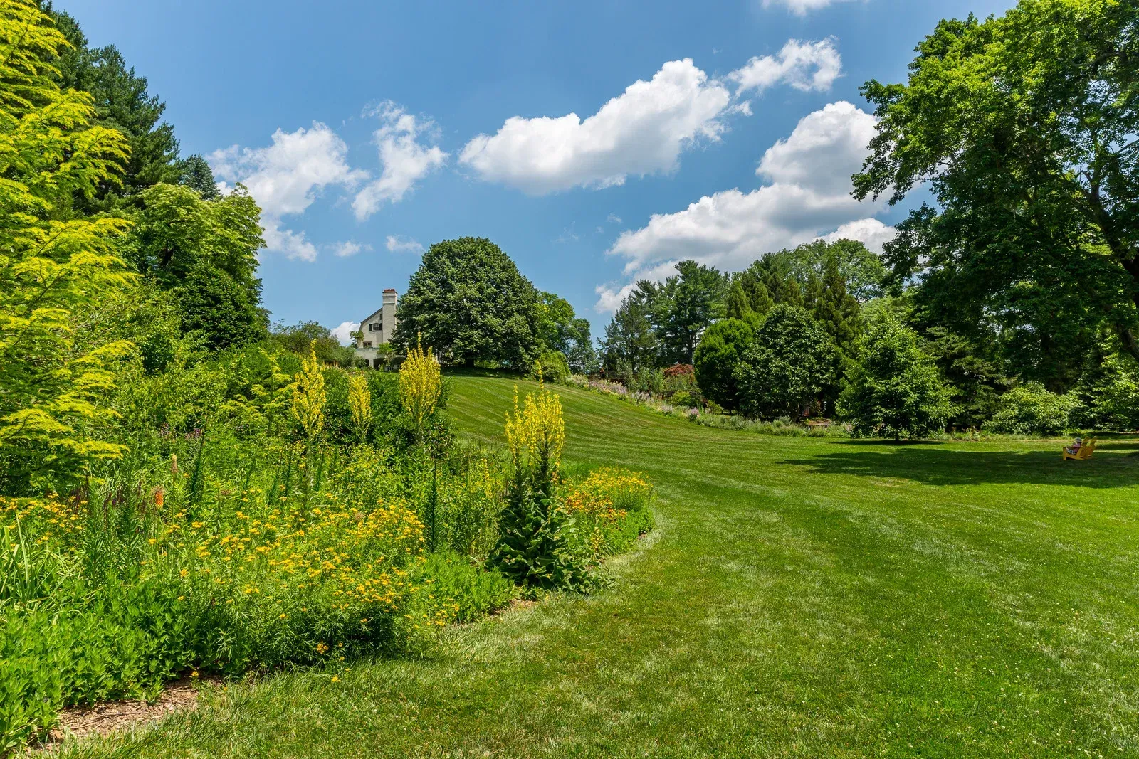 A house with a lush green lawn in front of it