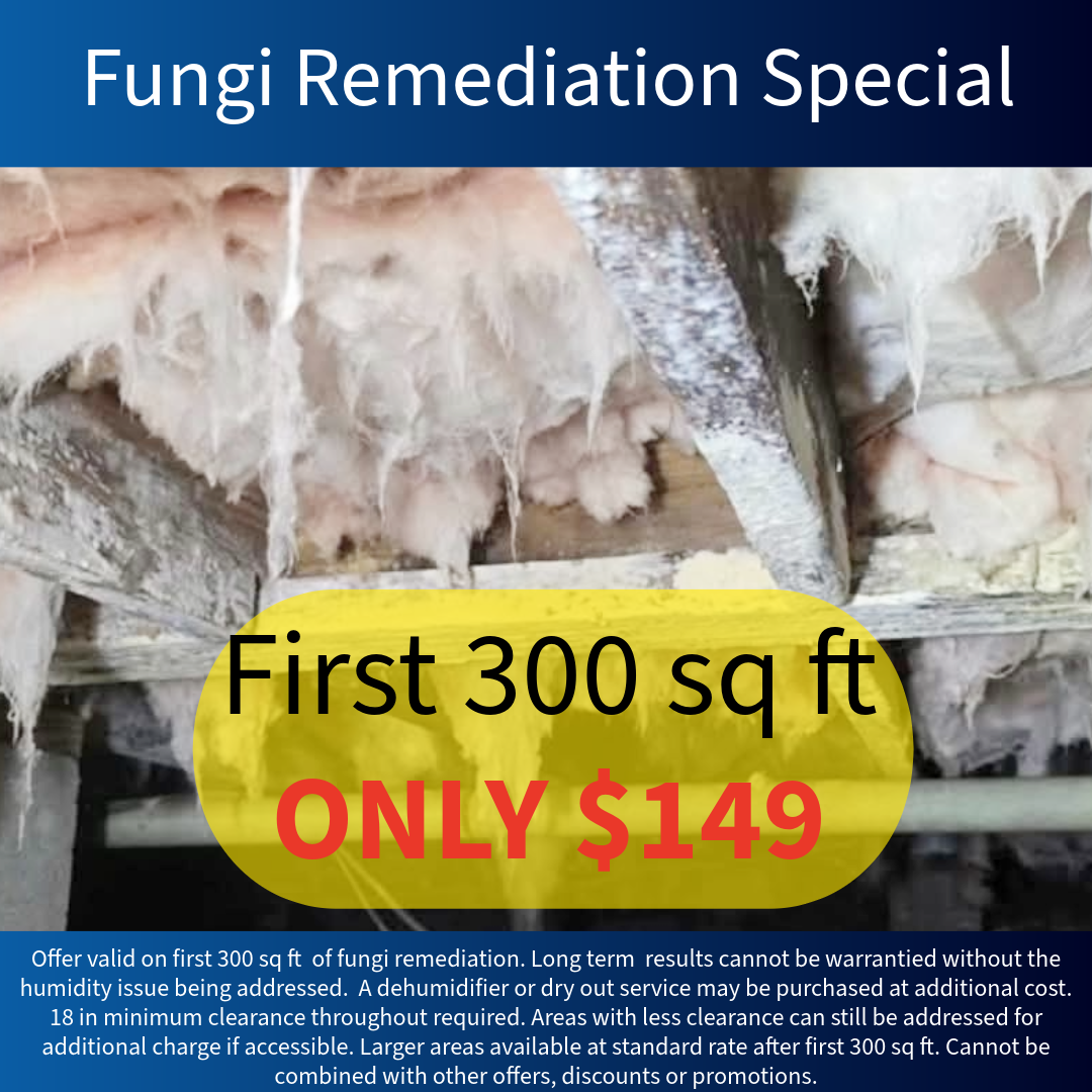 How Enhancify Works — Anderson, SC — Cobb Crawlspace Repair LLC How Enhancify Works — Anderson, SC — Cobb Crawlspace Repair LLC