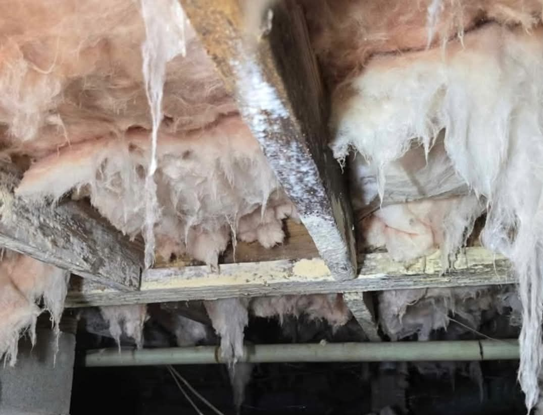 Crawl Space — Anderson, SC — Cobb Crawlspace Repair LLC Crawl Space — Anderson, SC — Cobb Crawlspace Repair LLC