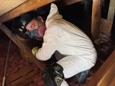 A man wearing a gas mask is crawling under a wooden floor.