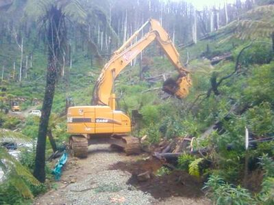 Earthmover in forest