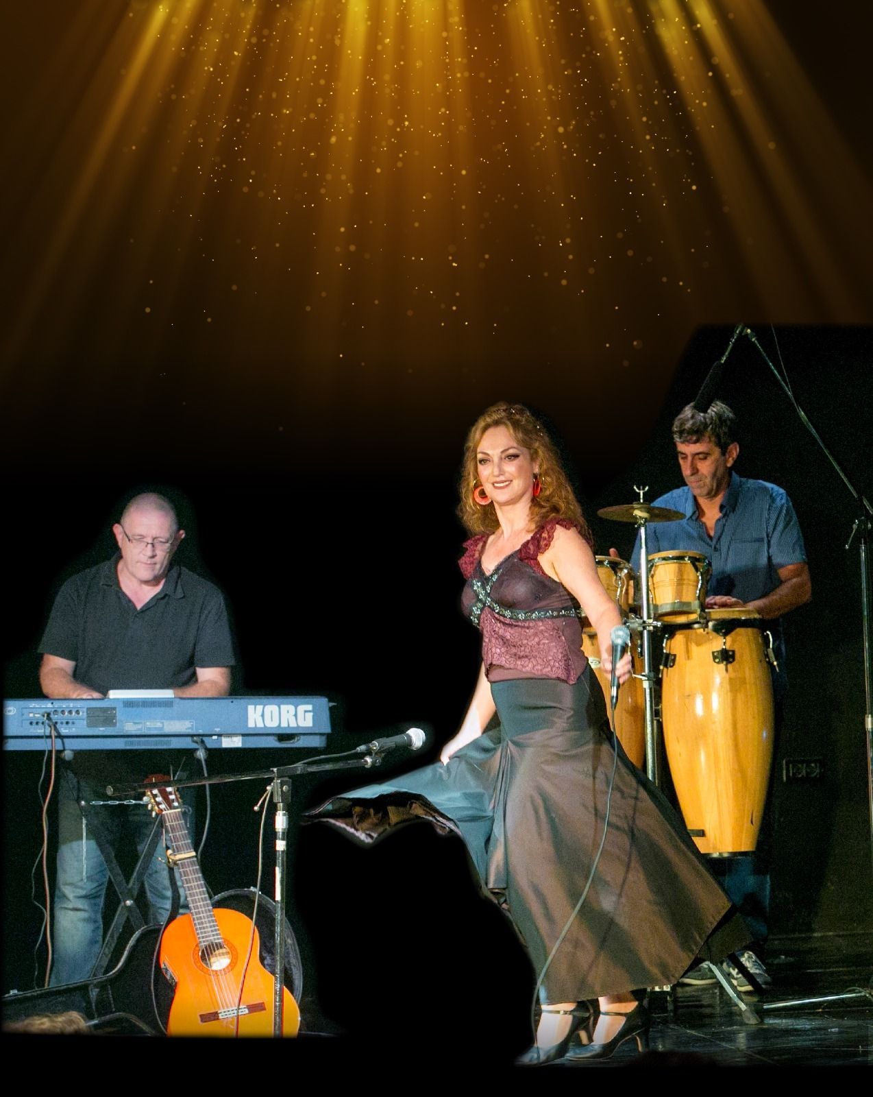 מופעים לאירועים פרטיים