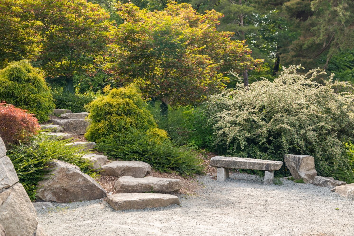 A quiet garden path with stone steps, a stone bench, and lush greenery under warm sunlight.
