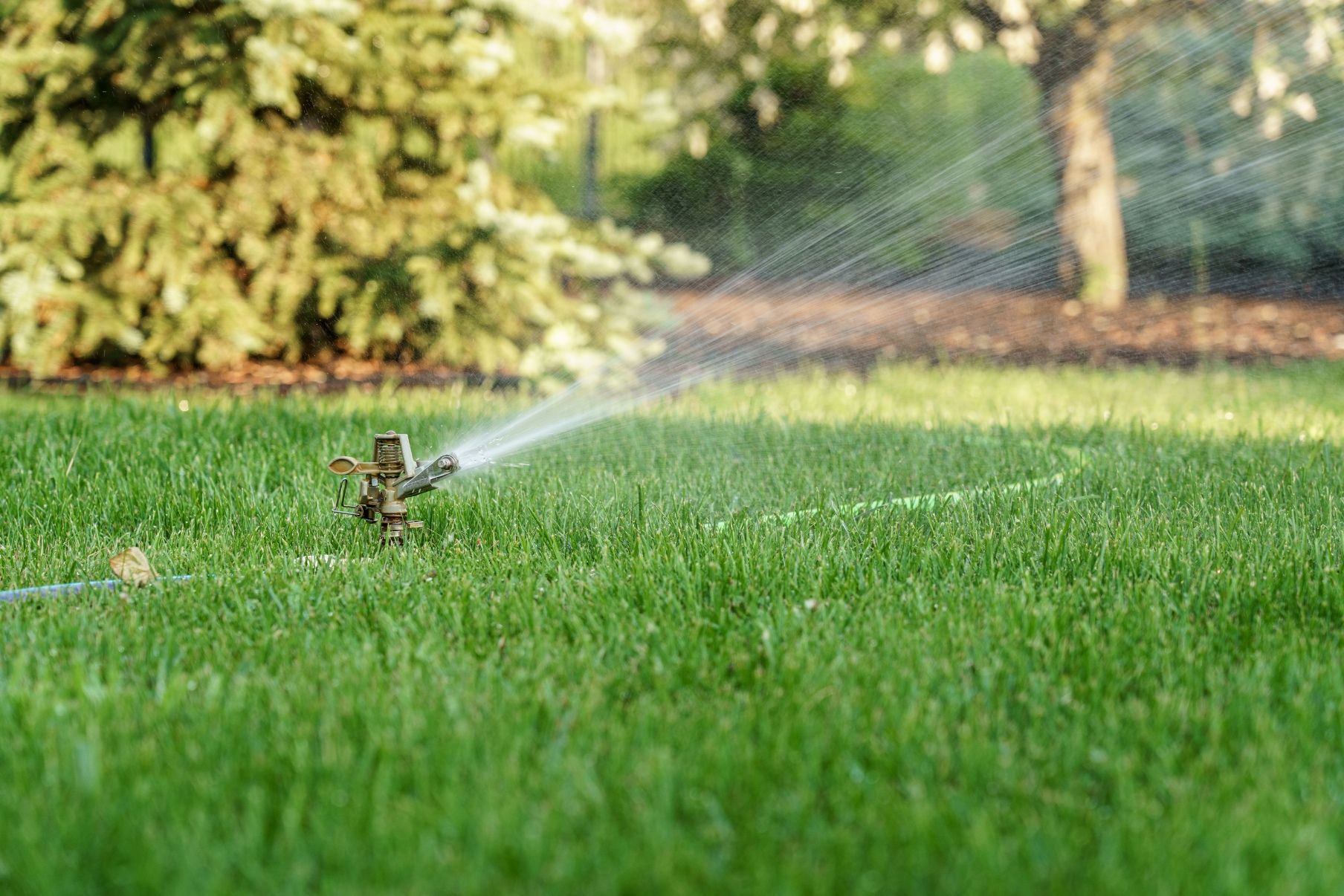A metal lawn sprinkler sprays water over a green grass lawn with bushes and trees in the background.
