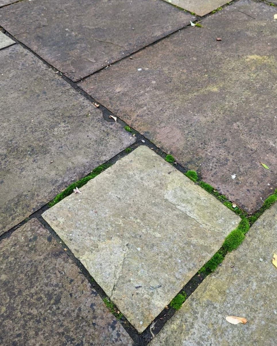 Hill's Exterior Cleaning - Professional Exterior Cleaning in Yorkshire